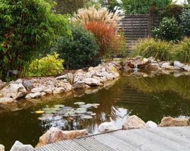 Gartengestaltung-Teichanlage-Strack